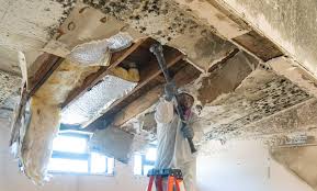 Best Real Estate Mold Inspection  in Sewell, NJ